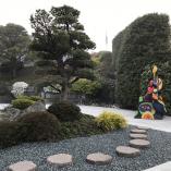 Aus einem ehemaligen Pool wird ein japanischer Garten.